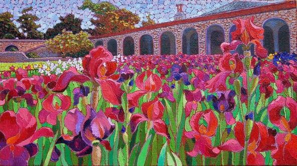 Irises in Holland Park