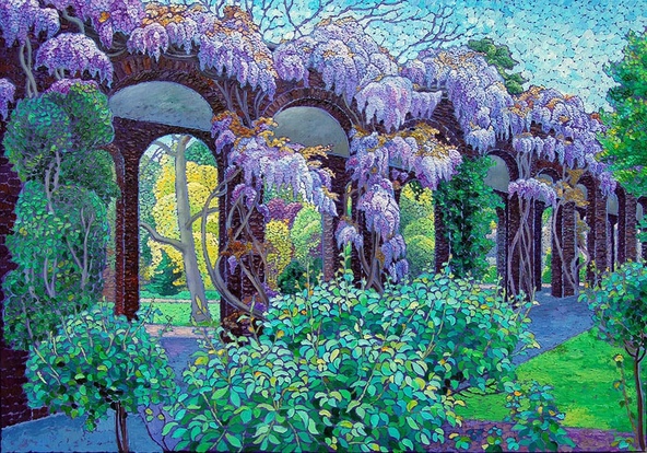 Wisteria in Holland Park